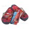 Disney Cars Flip Flop